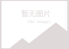 高安现实律师有限公司